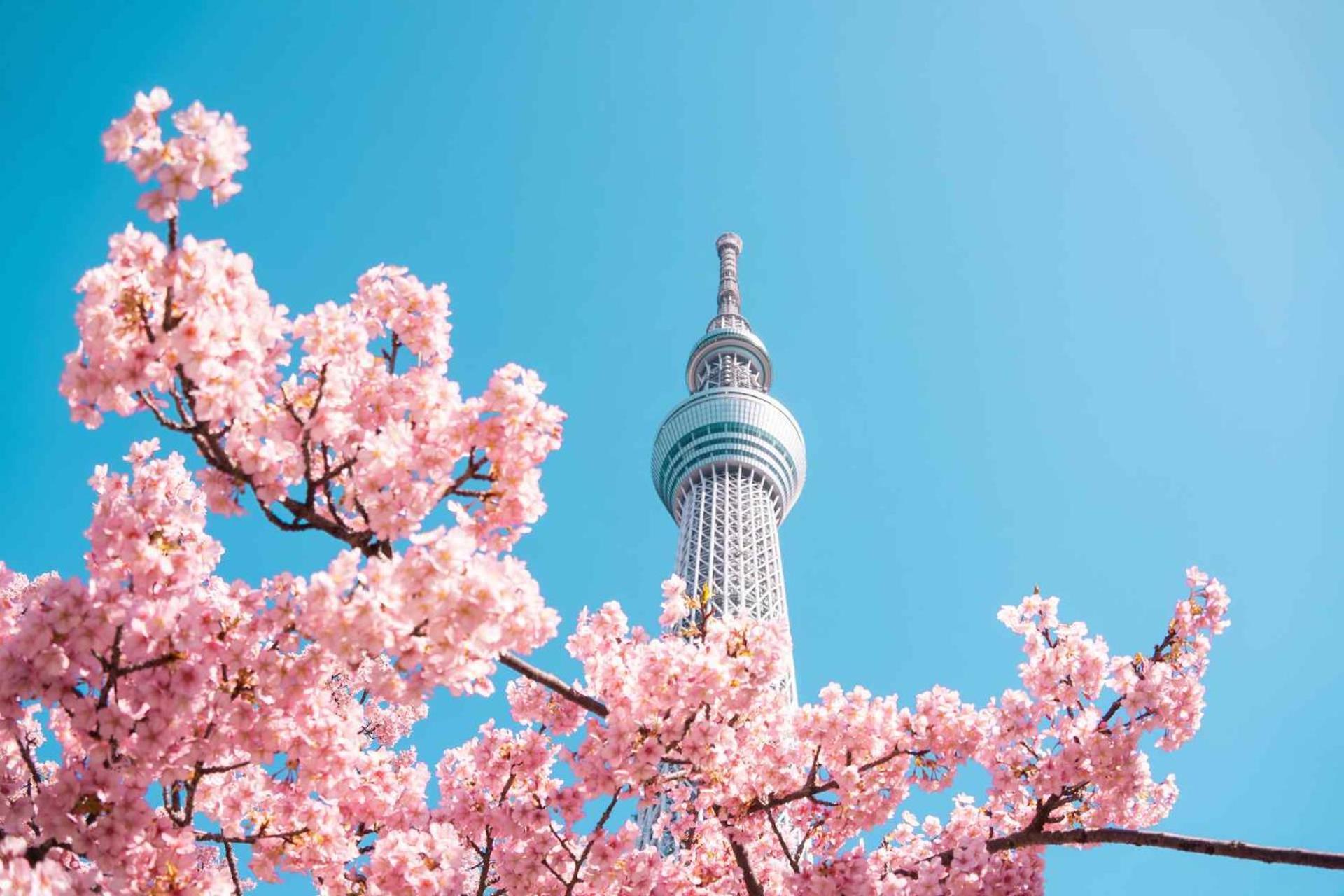 Hotel Fl Asakusa Tōkyō